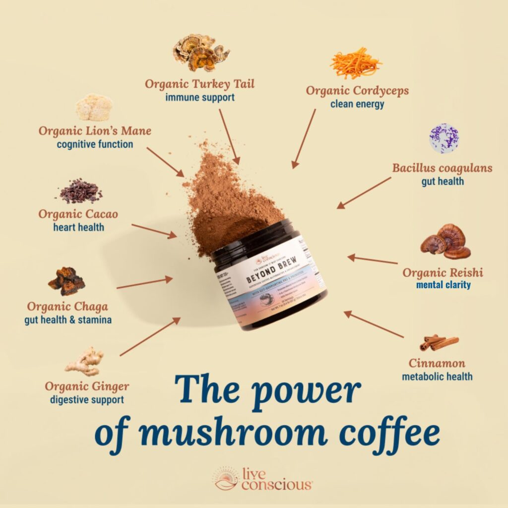 Best Mushroom Coffee: The Beyond Brew Difference