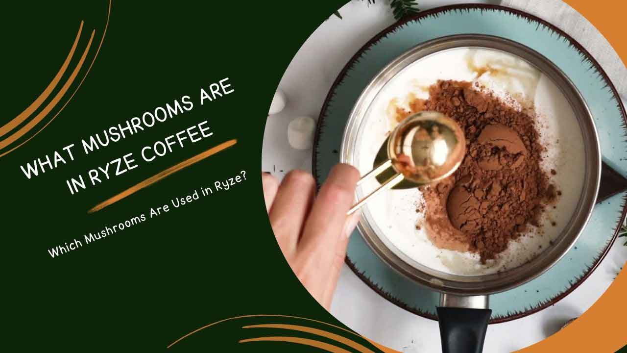 What Mushrooms are in Ryze Coffee